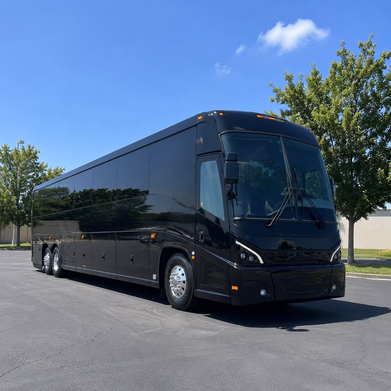 las cruces 56 passenger charter bus